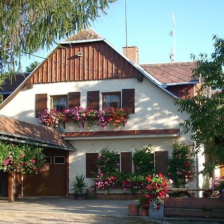 Pension Ivanka Jestrabi V Krkonosich Luaran gambar